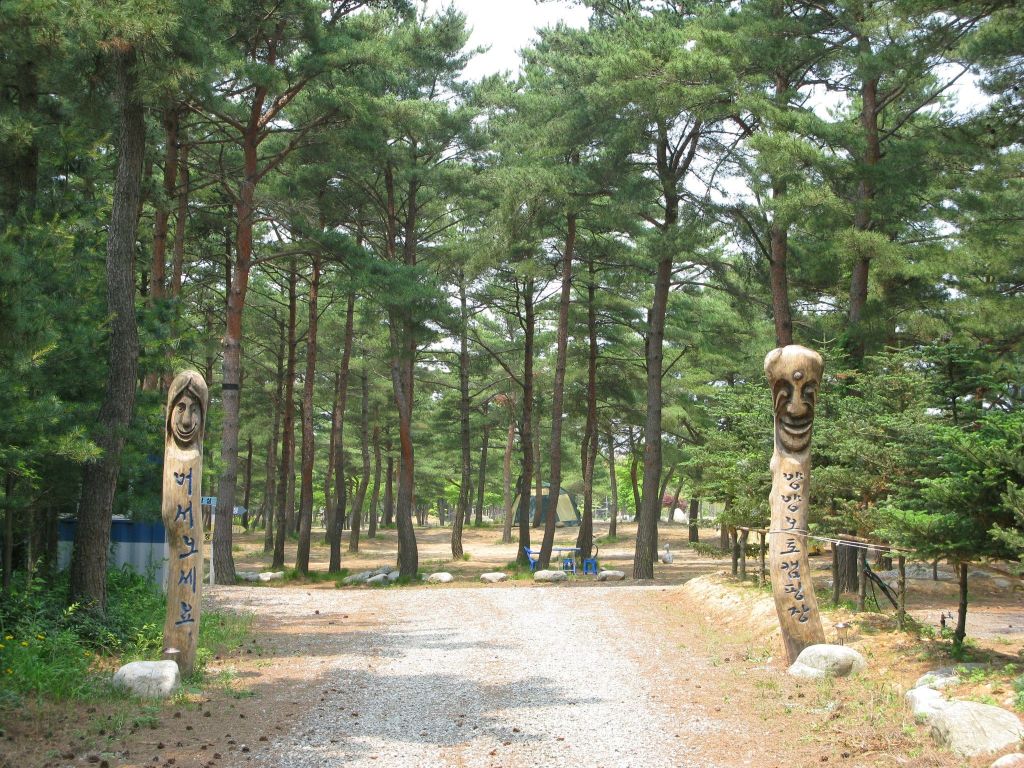 양양 오토 캠핑장