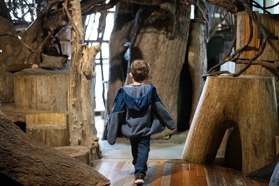 파란색 재킷을 입은 어린이가 나무를 닮은 커다란 나무 구조물이 있는 놀이터를 걷고 있습니다.