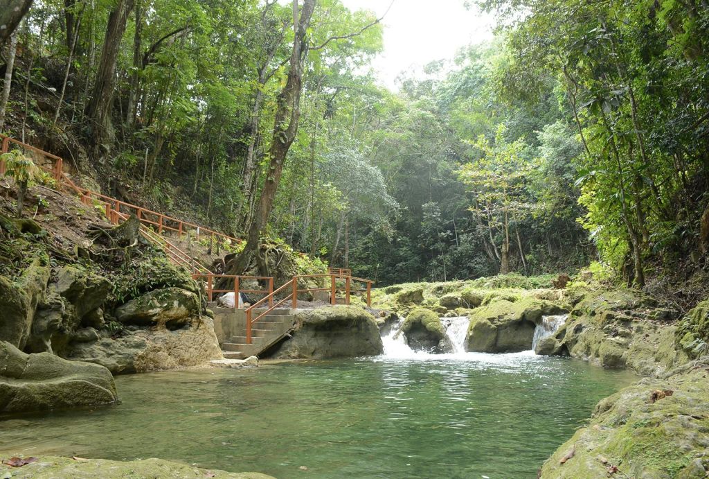 울창한 숲과 바위로 둘러싸인 맑고 푸른 수영장으로 흐르는 고요한 폭포와 나무 난간 계단이 있습니다.