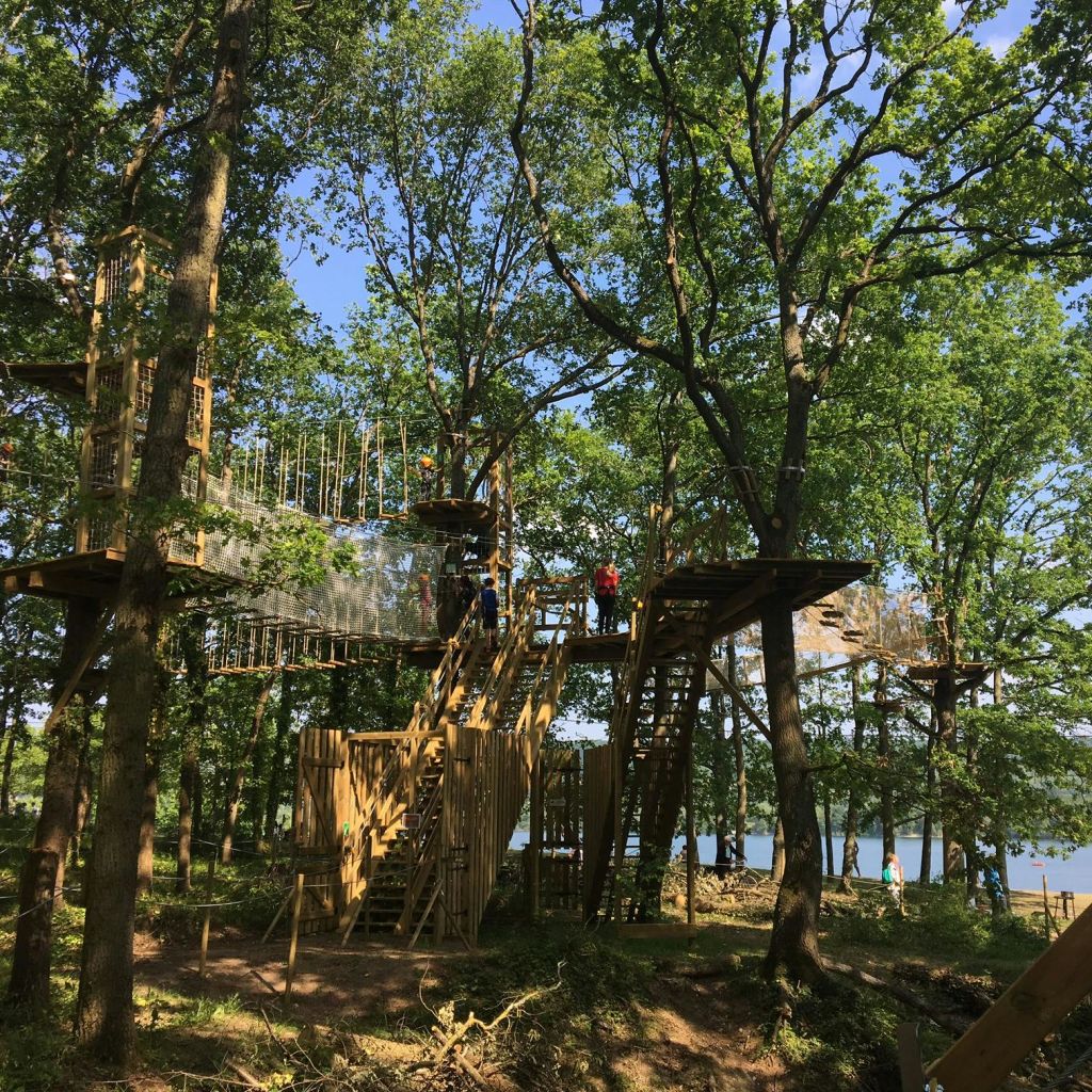 숲 속 나무 사이로 높이 솟은 목조 건축물과 산책로가 있으며, 호수가 한 눈에 들어옵니다.