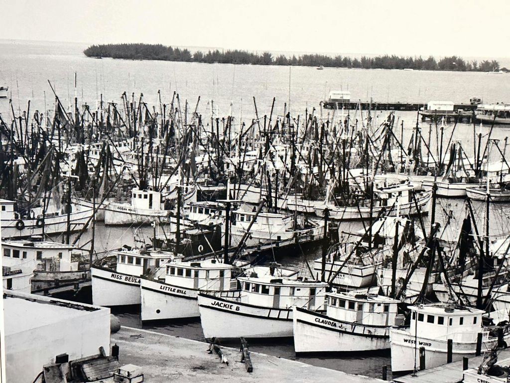 수많은 어선이 정박한 붐비는 정박지, 돛대와 리깅은 하늘을 배경으로 빽빽한 패턴을 만듭니다.