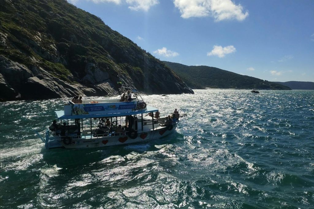 아라이알두카부