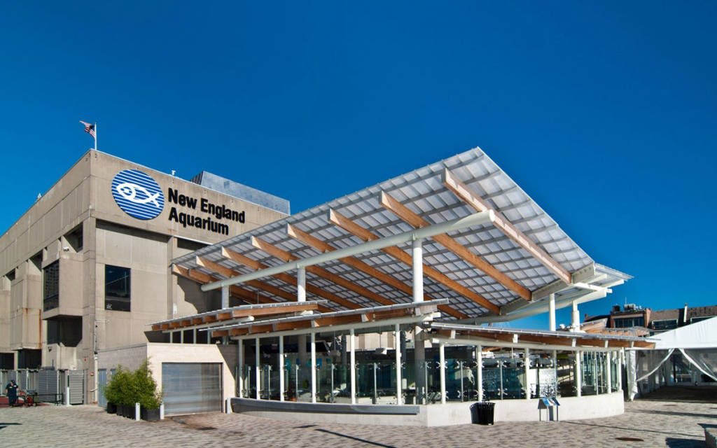맑고 푸른 하늘 아래 현대적인 건축 디자인이 돋보이는 뉴잉글랜드 수족관 입구.