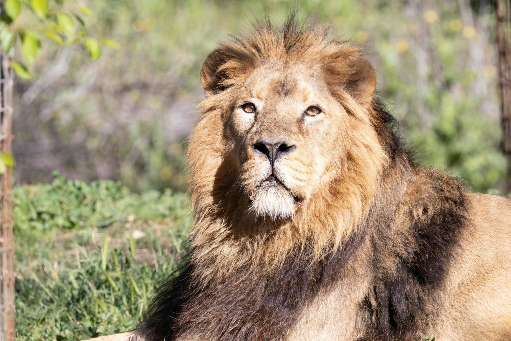 마드리드 동물원