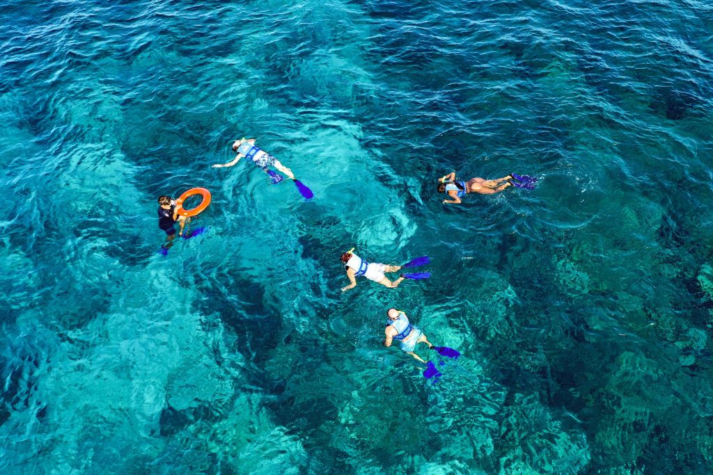 프리미엄 쌍동선