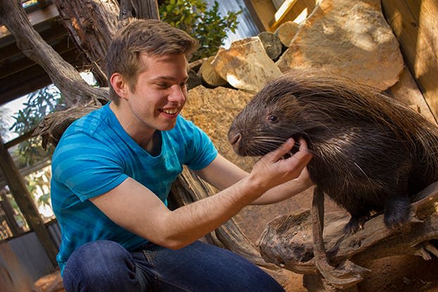 파란색 줄무늬 셔츠를 입은 남성이 바위와 나무를 배경으로 미소를 지으며 웜뱃을 쓰다듬고 있습니다.