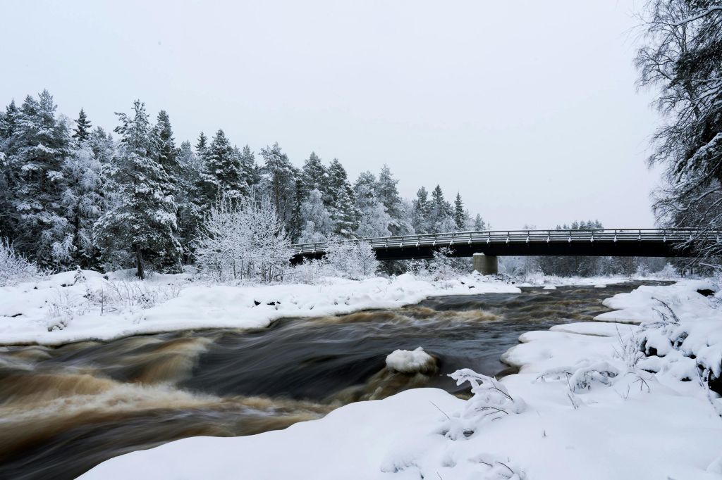 비카콘가스 자연