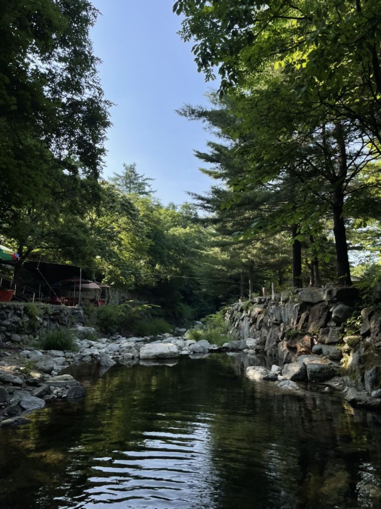 유명산 계곡