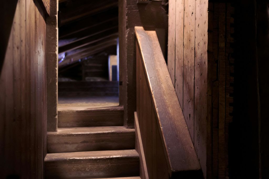 도보 & 식도락 투어