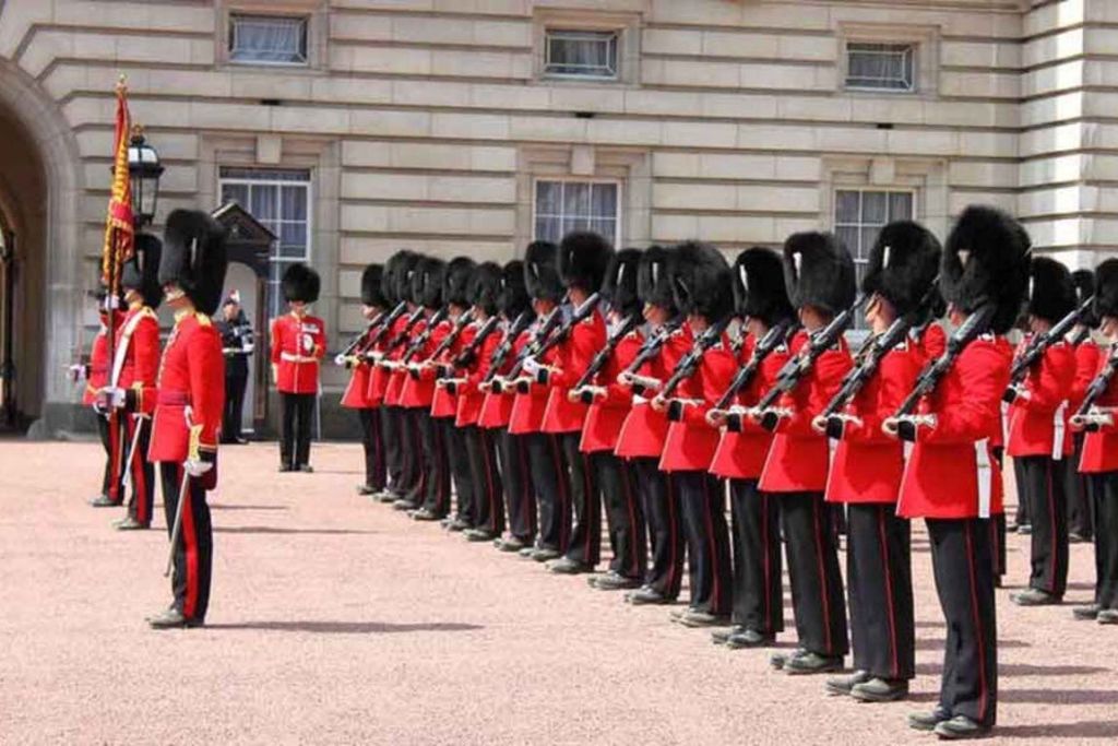 Guard 변경 사항 보기