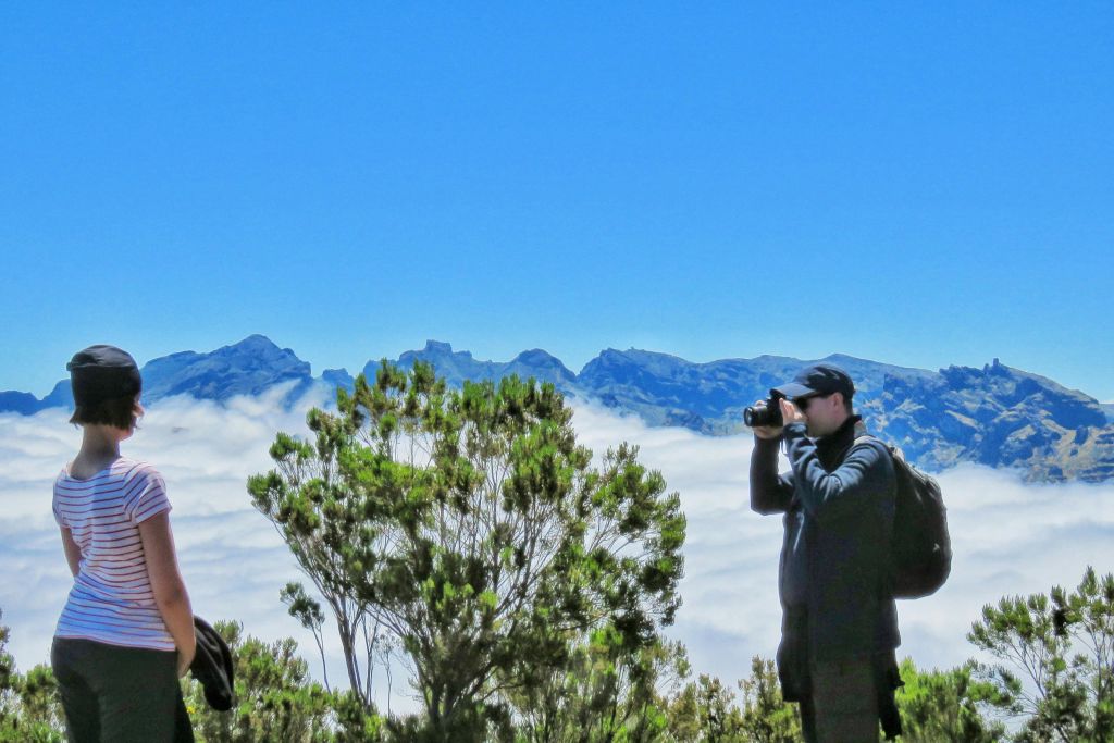 북서부 - 녹색 악마 사파리