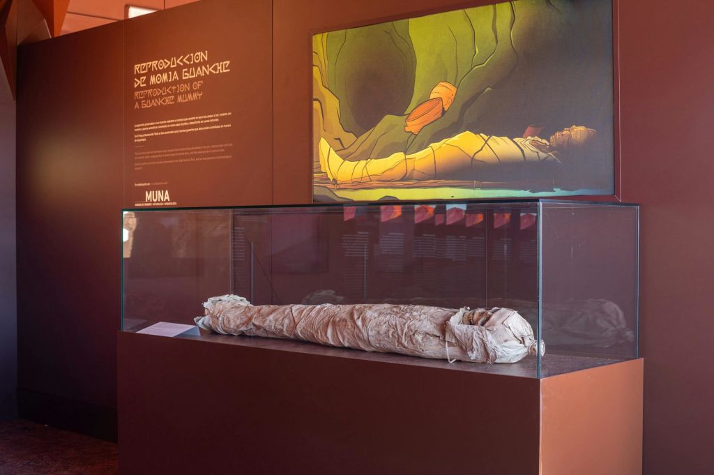 유리 진열 케이스에 담긴 미라 본체로, 뒤쪽 벽에 정보 텍스트와 미라의 예술 작품이 있습니다.