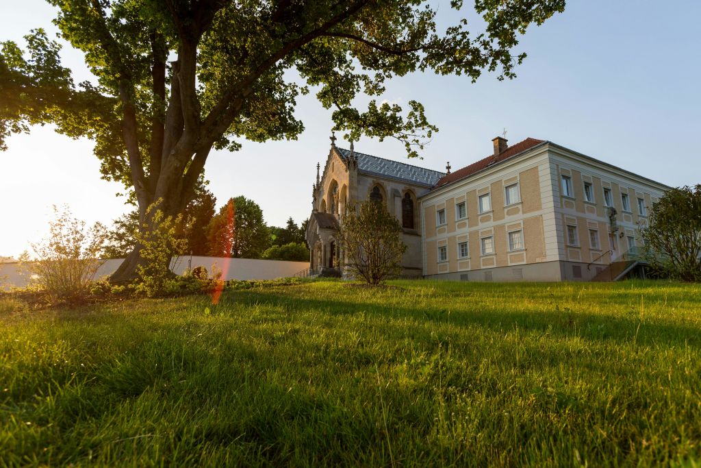 빈 숲 한복판에 위치한 작은 공원