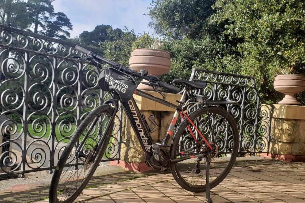 캐논데일 전기 자전거