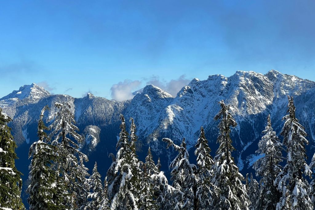 밴쿠버의 산 전망.