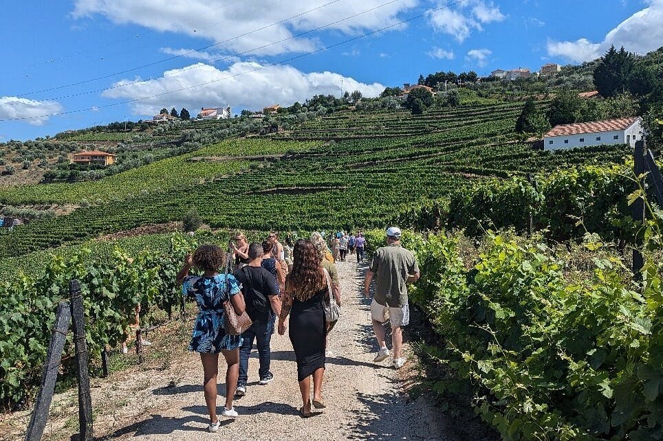 도우루 계곡의 아름다운 풍경을 감상해보세요
