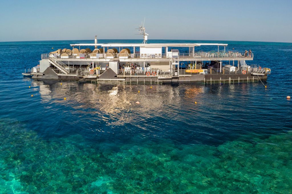 맑고 푸른 물과 산호로 둘러싸인 그늘진 좌석, 사람, 다이빙 플랫폼이 있는 바다 위의 대형 수상 플랫폼입니다.