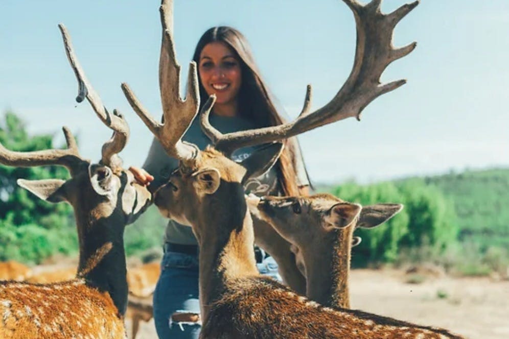 와일드 포레스트 리저브 재