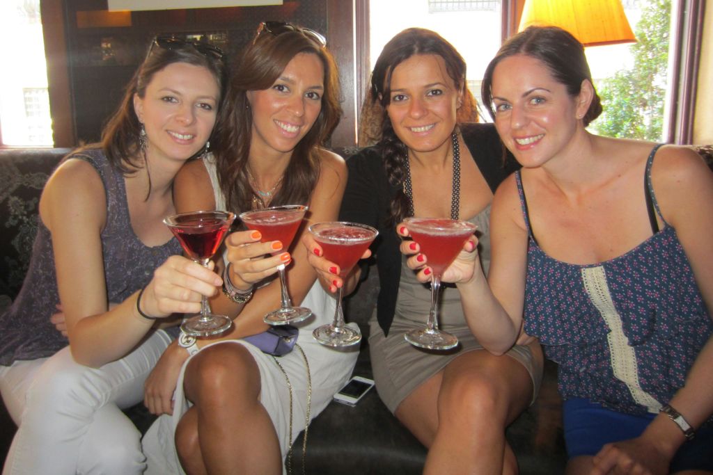 코스모스앳어니얼스