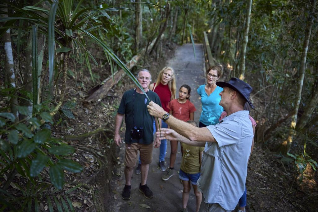 가이드가 나무와 나무 산책로를 배경으로 숲길을 걷는 사람들에게 식물을 보여주고 있습니다.