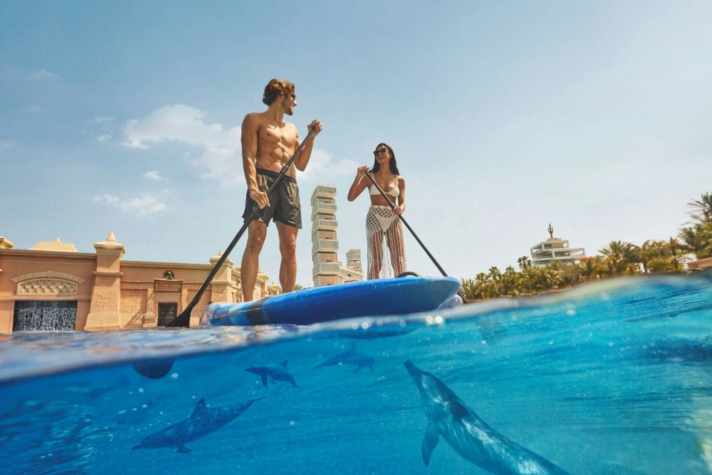 돌고래를 만나는 패들보드 투어