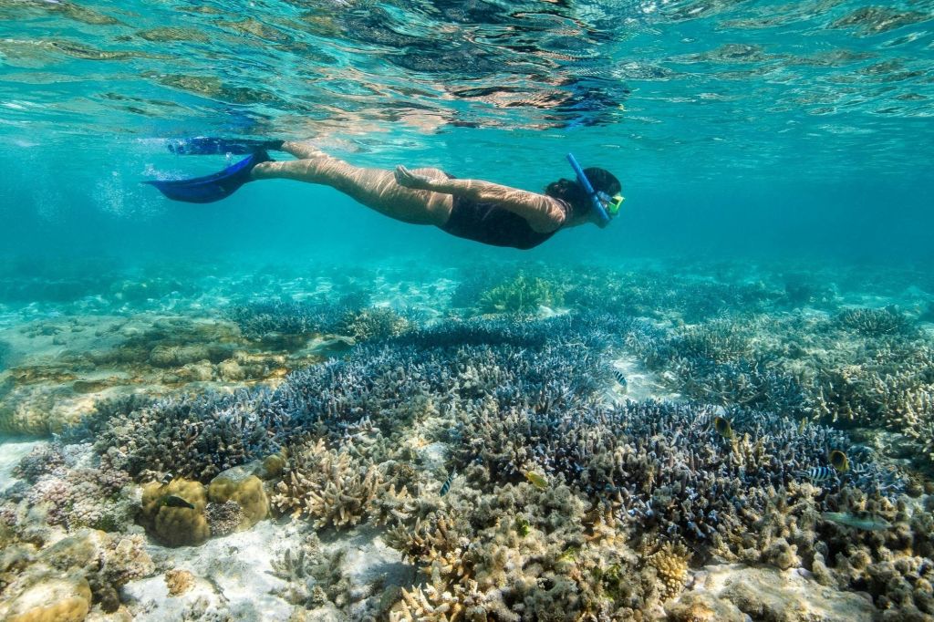 후크섬 문화 투어