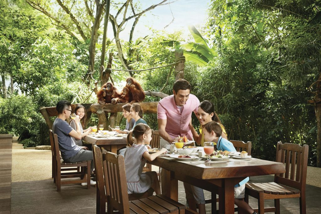 울창한 녹음으로 둘러싸인 배경의 나무 플랫폼에서 오랑우탄을 들고 야외 식사를 즐기는 사람들.