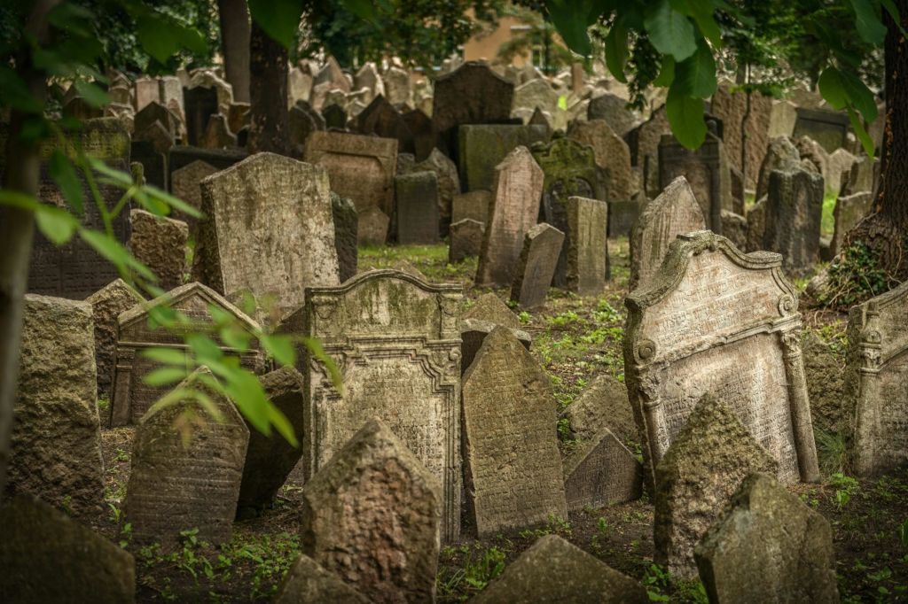 녹지와 나무로 둘러싸인 묘지에 밀접하게 포장된 오래된 풍화 비석 몇 개.