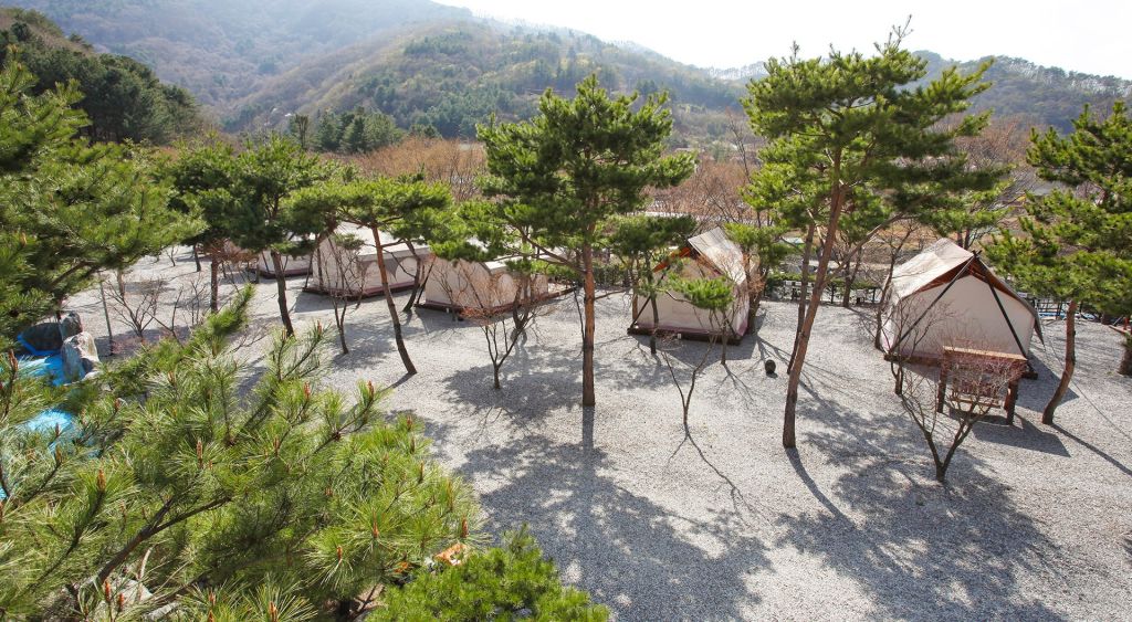 리즈밸리