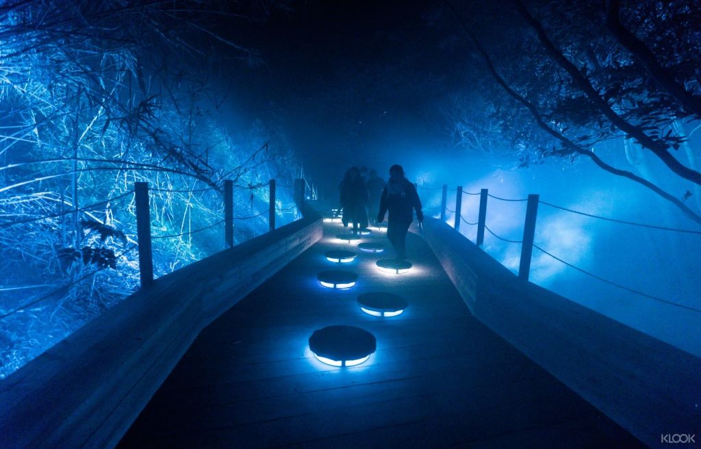 Iojima의 Island Lumina에서 1km의 숲길을 따라 몰입감 넘치는 야간 모험을 경험하십시오.