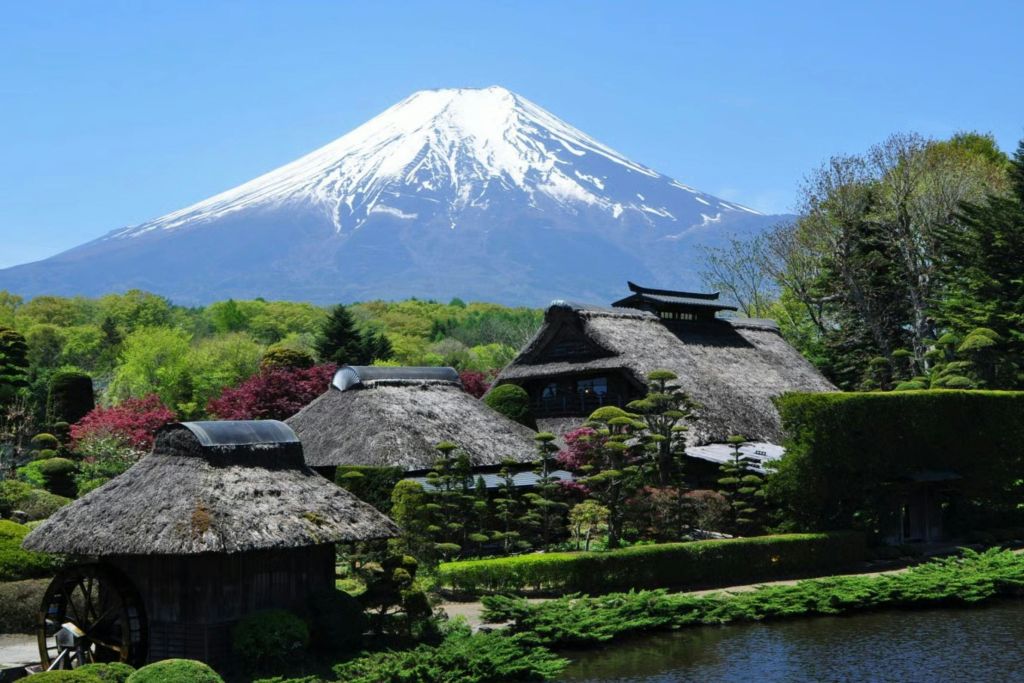 맑고 푸른 하늘 아래 후지산을 배경으로 나무와 관목으로 둘러싸인 전통 초가집.