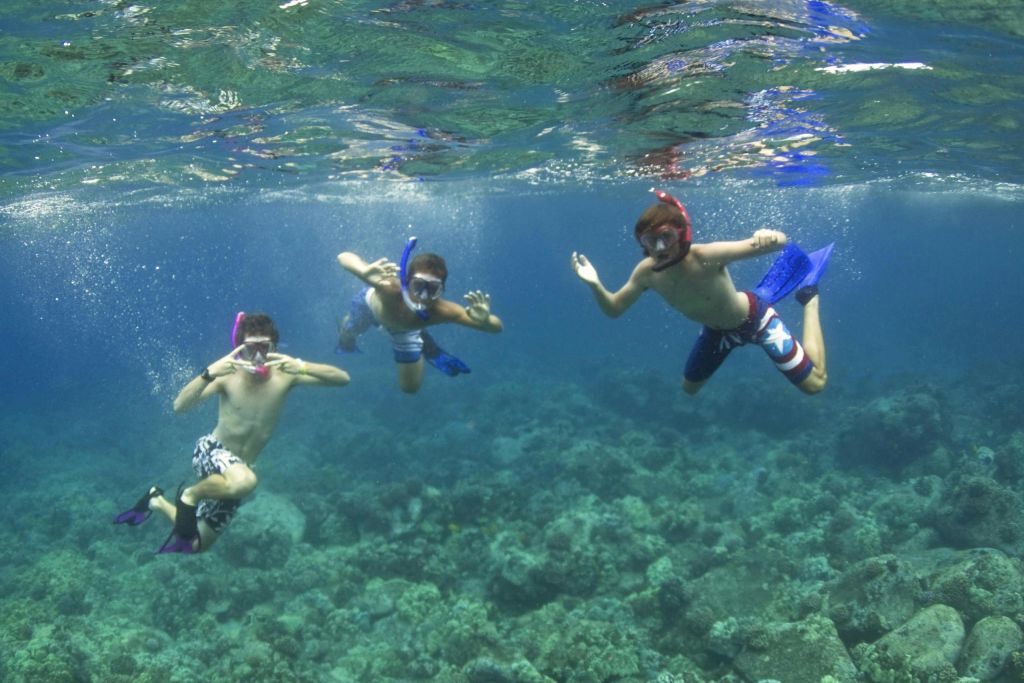 세 사람이 마스크, 스노클링, 지느러미를 착용한 채 산호초 위에서 스노클링을 하고 있습니다.