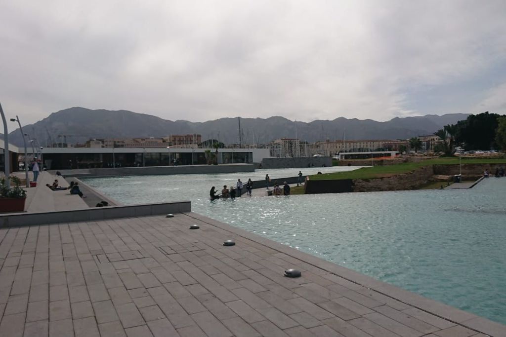 몰로트라페조이데일