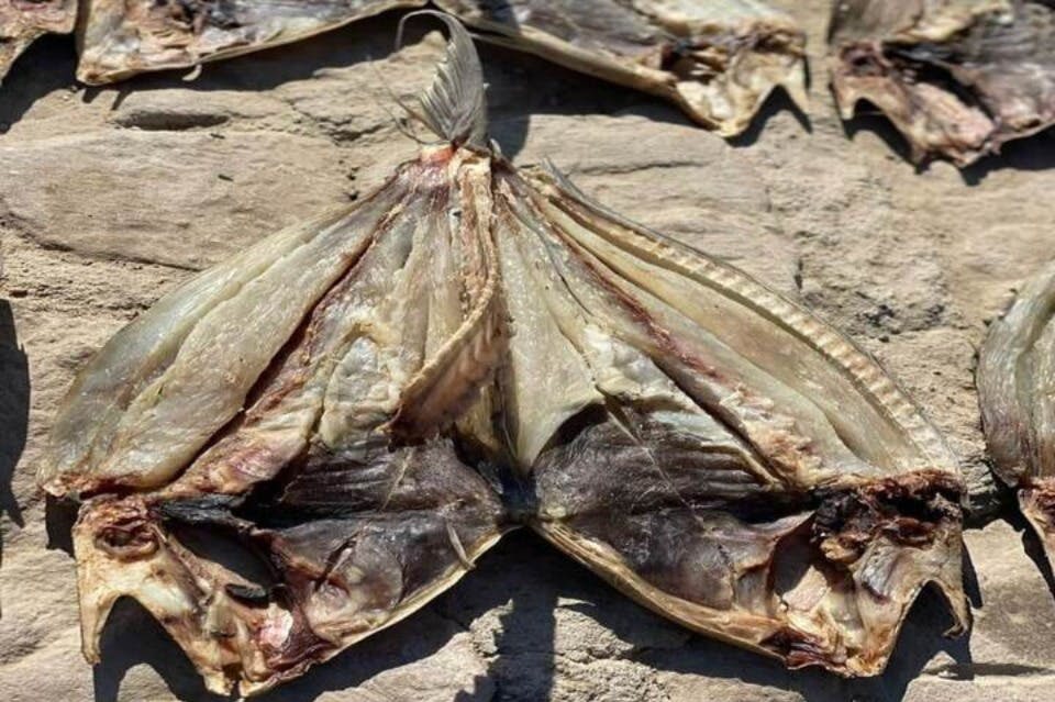 엘쿠세이어 미라 박물관