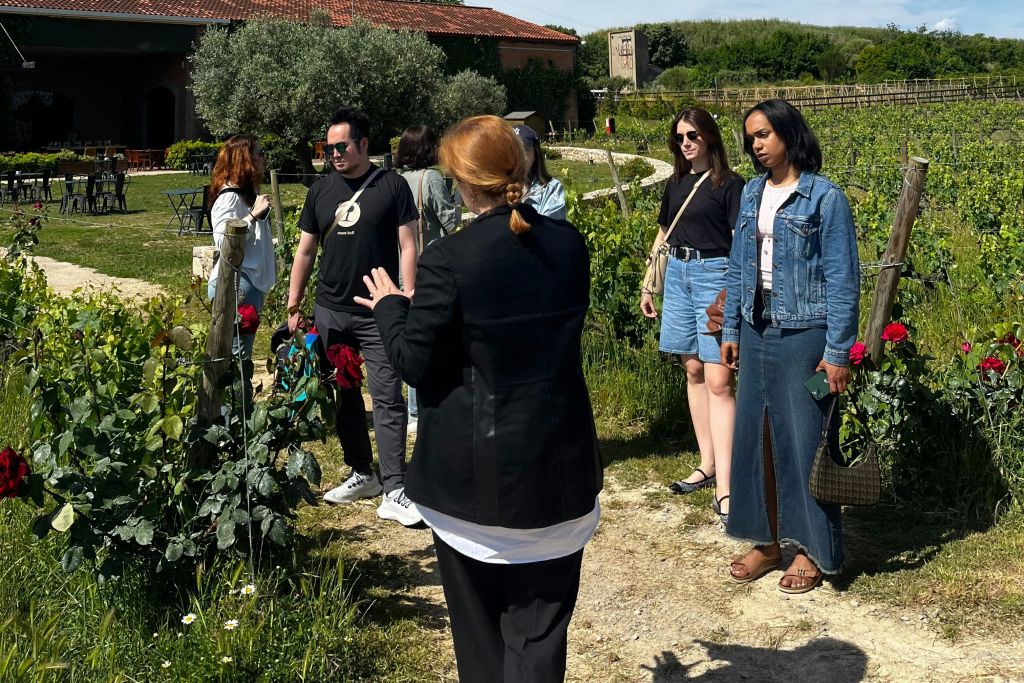 보데가스토레스