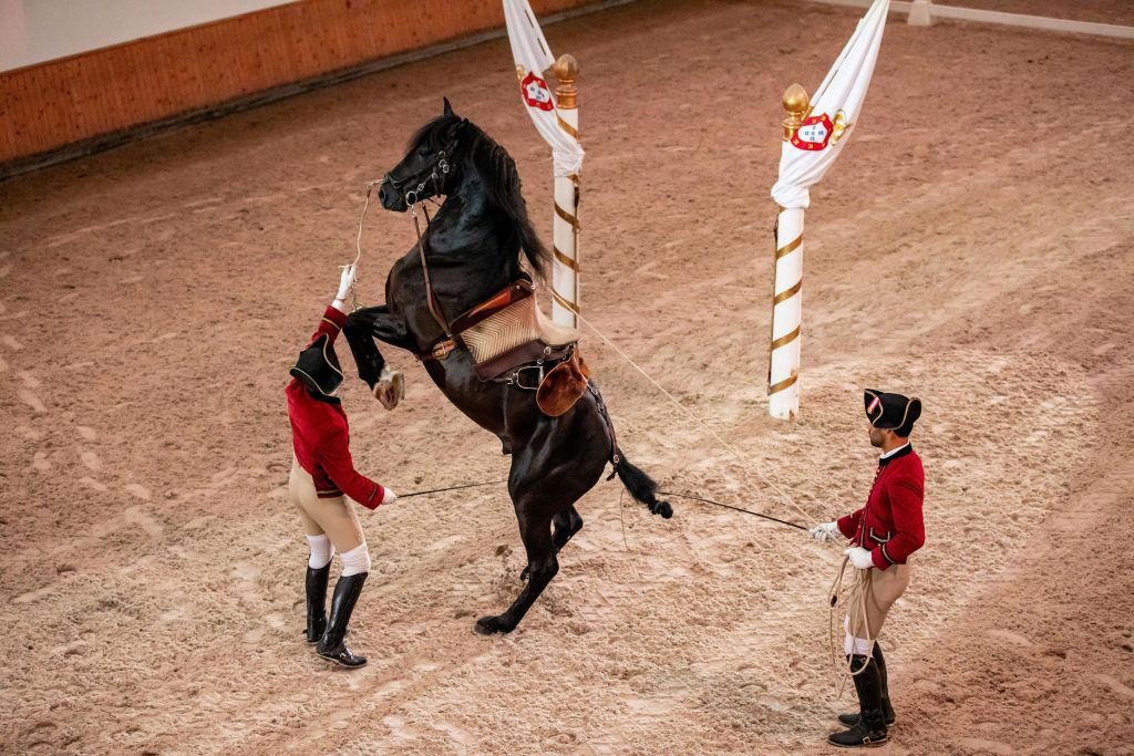 신트라 공원 - 몬테스다루아