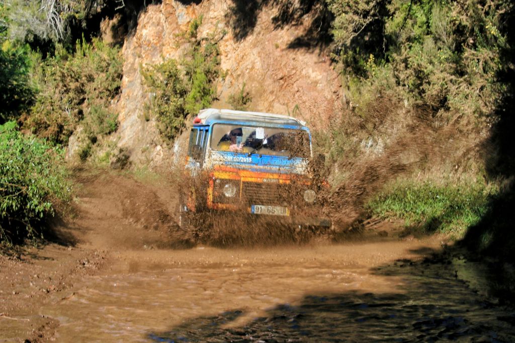 북서부 - 녹색 악마 사파리