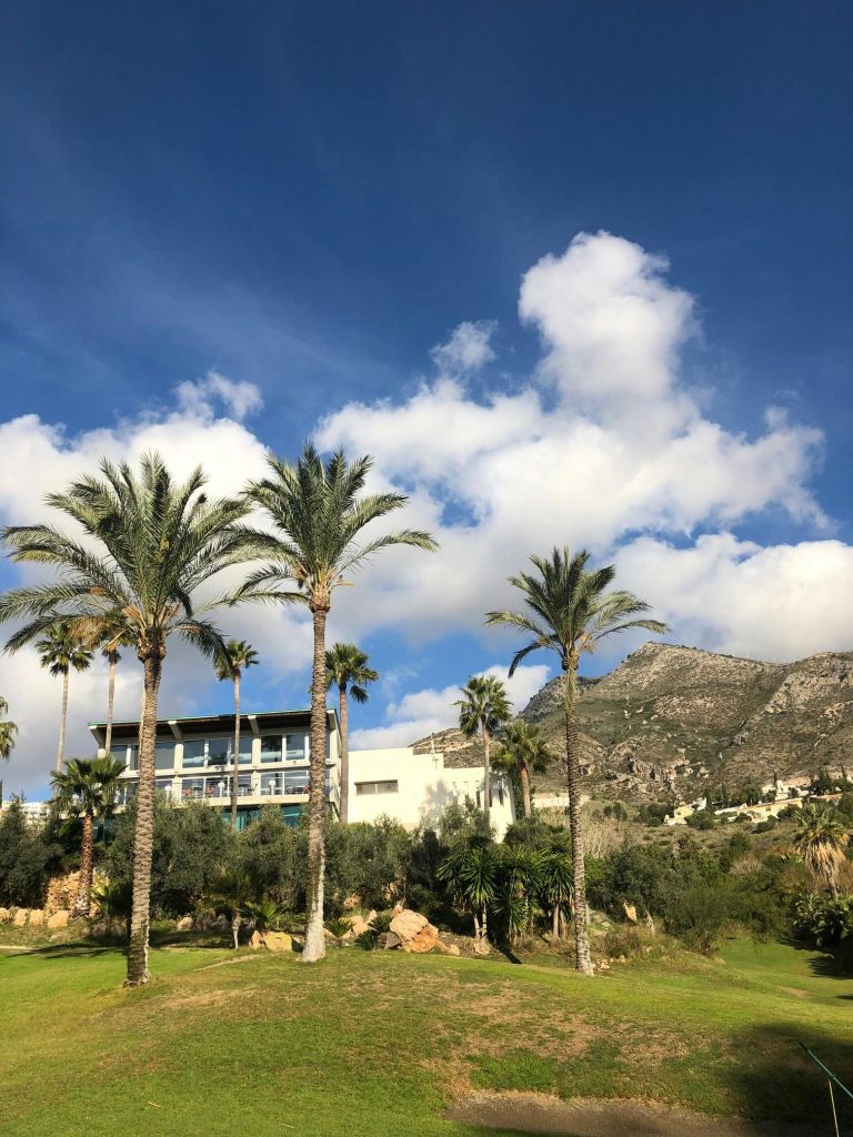 야자수와 녹음으로 둘러싸인 현대적인 건물로, 부분적으로 흐린 하늘 아래 산을 배경으로 합니다.