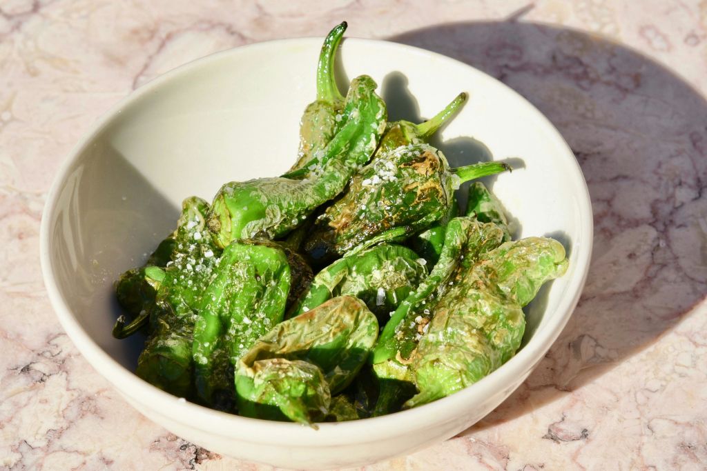 푸드 & 파두 투어