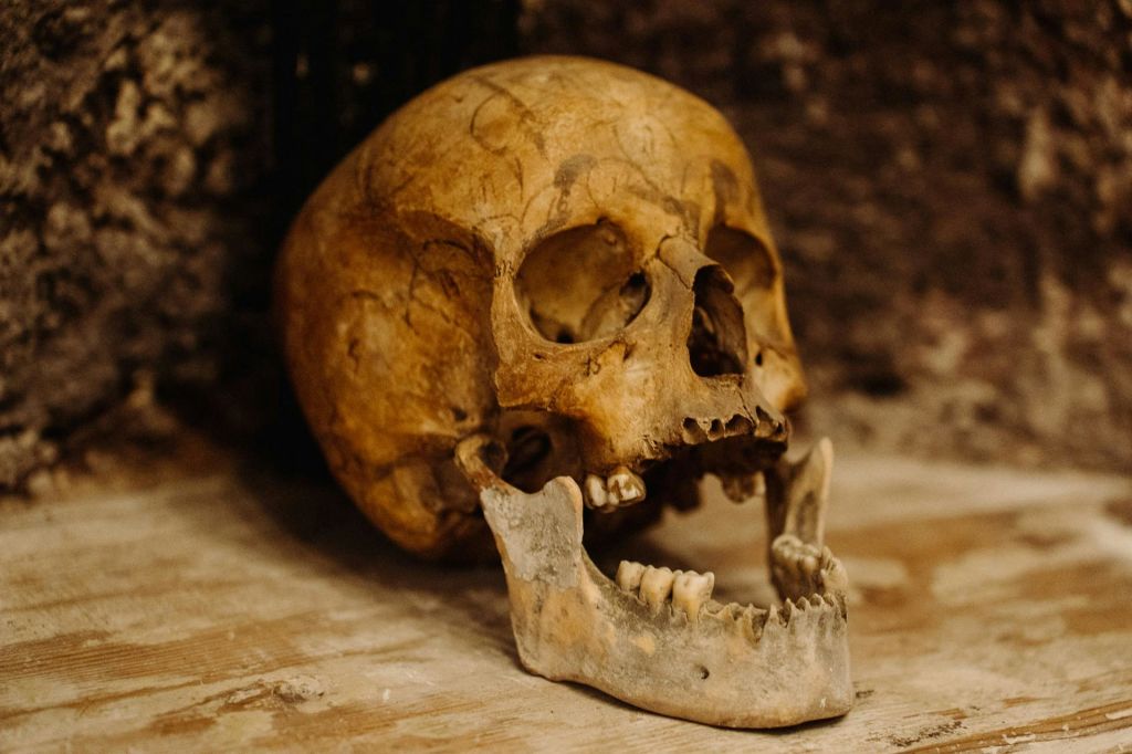 지하 묘지와 뼈로 만든 특별한 지하실이 있는 로마 지하 투어