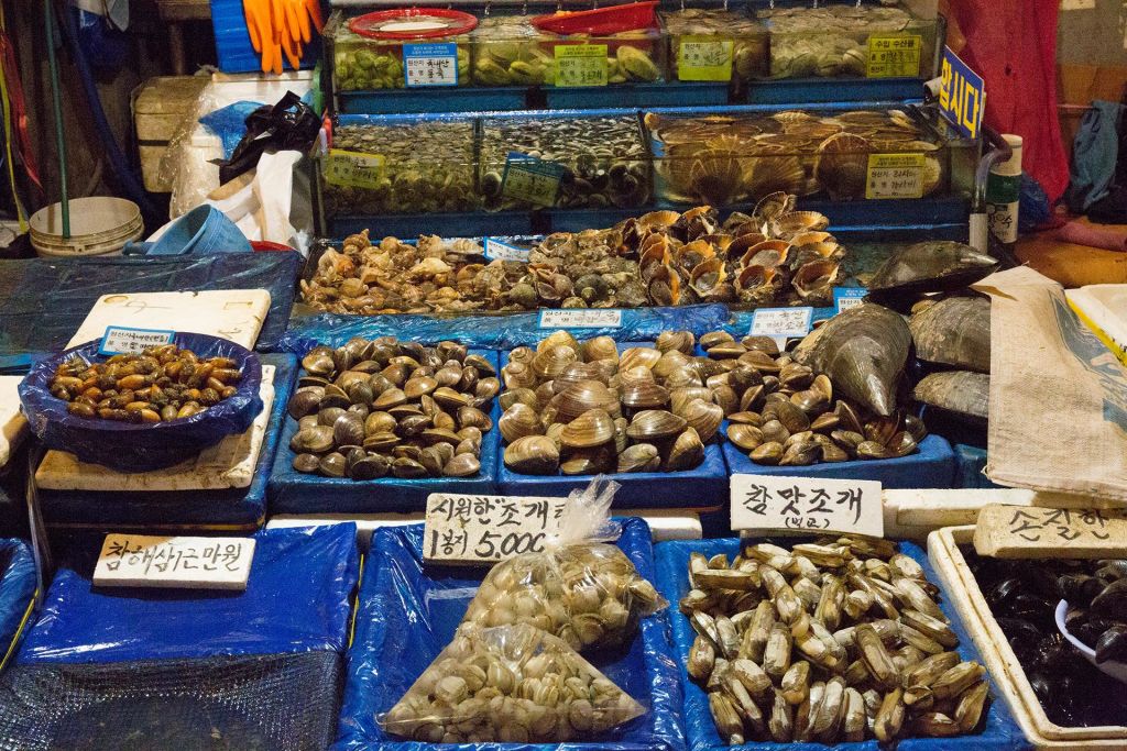 노량진 수산 시장
