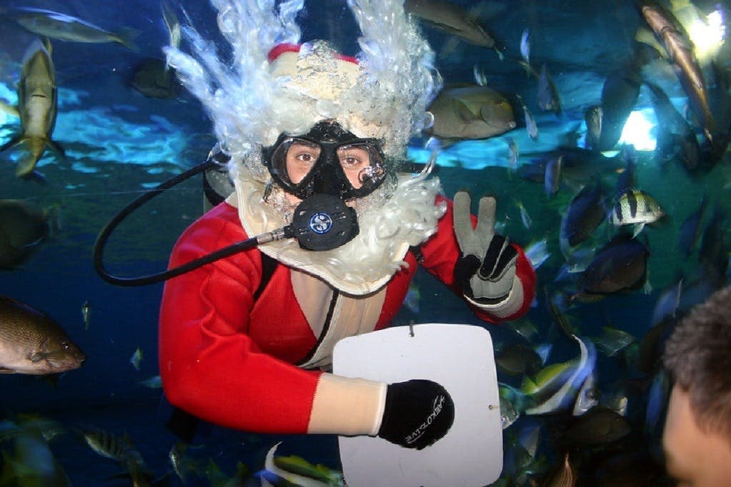 언더워터월드 파타야