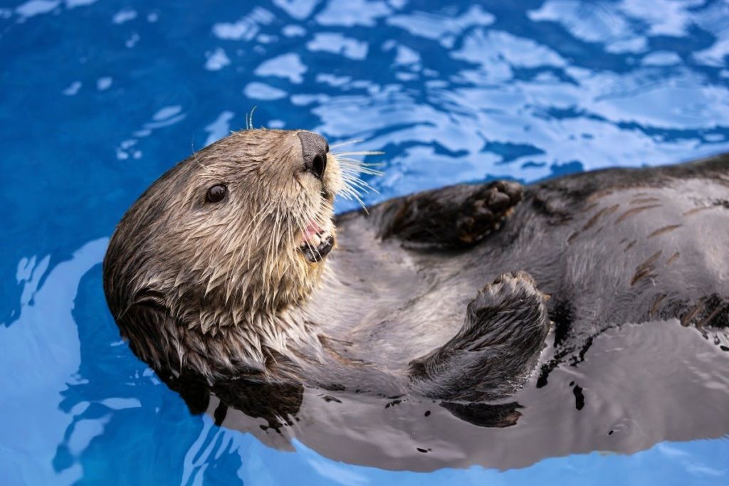 떠다니기만 하면…