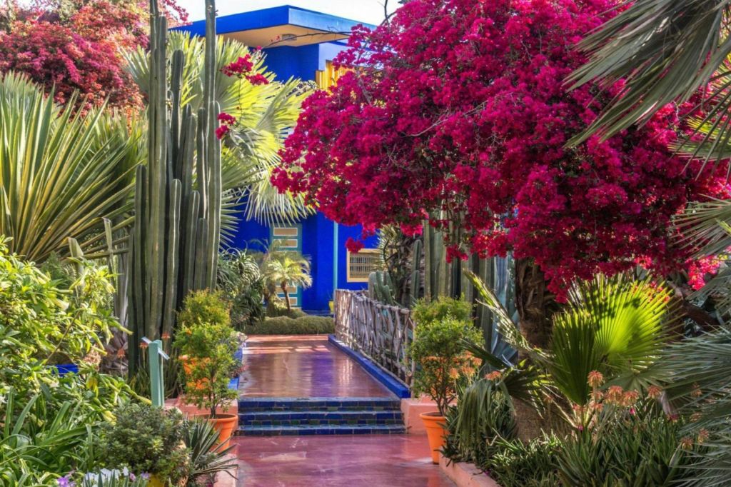 붉은 꽃이 피는 나무, 높은 선인장, 노란색으로 포인트를 준 파란색 건물로 이어지는 길로 둘러싸인 활기찬 정원.