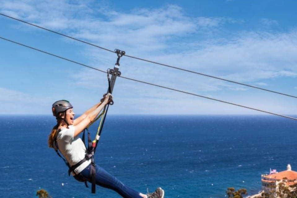 집라인 타고 즐기는 카탈리나섬 에코 투어