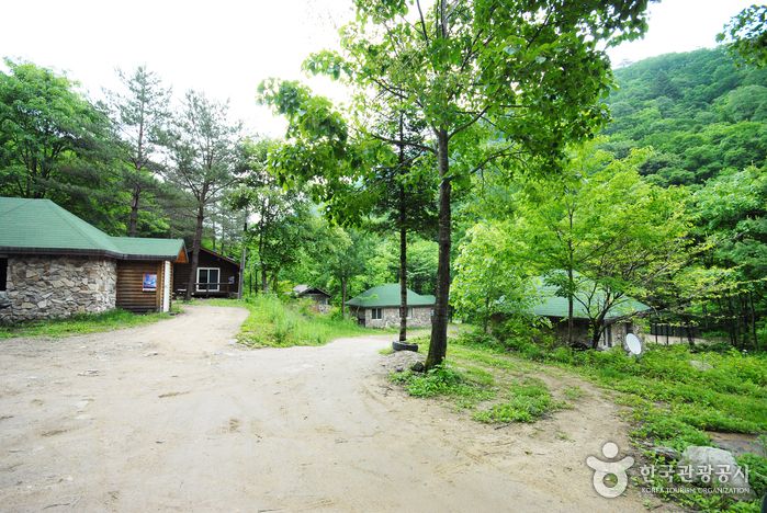 국립 삼봉 자연 휴양림