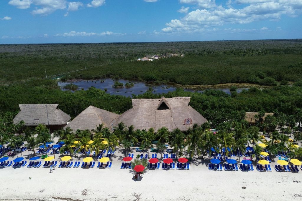 지붕이 짚으로 된 건물, 일렬로 늘어선 해변 의자, 우산, 야자수, 울창한 숲 배경이 있는 해변 리조트의 공중 전망.