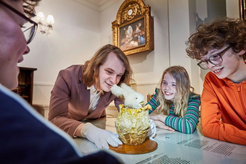 양배추에서 토끼와 함께하는 어린이 투어