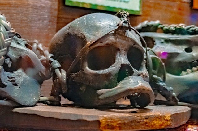 리플리스 아쿠아리움 오브 머틀 비치 + 추가 명소 2곳 콤보