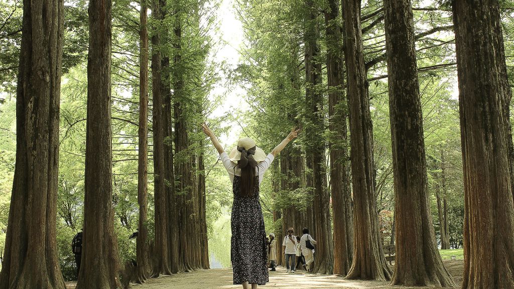 Nami Island · Petite France + Italian Village Private Tour